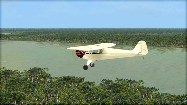 KHAiHOM.com - FSX: Steam Edition - Natural Tree Environment X Add-On