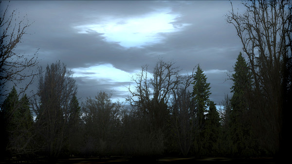 FSX: Steam Edition - FTX Trees HD Add-On