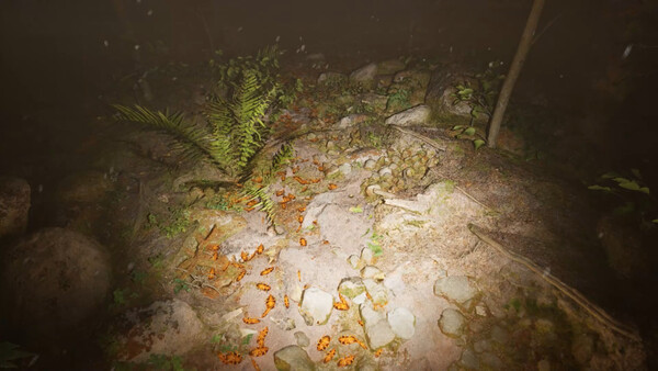 Туманные источники Misty Onsen.