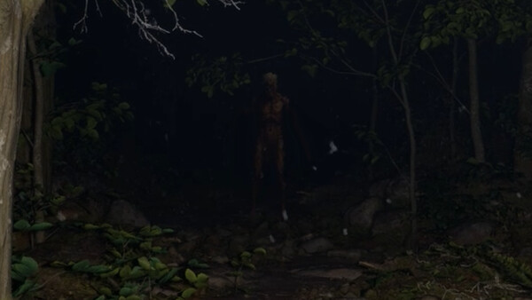 Туманные источники Misty Onsen.