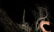 Screenshot #6