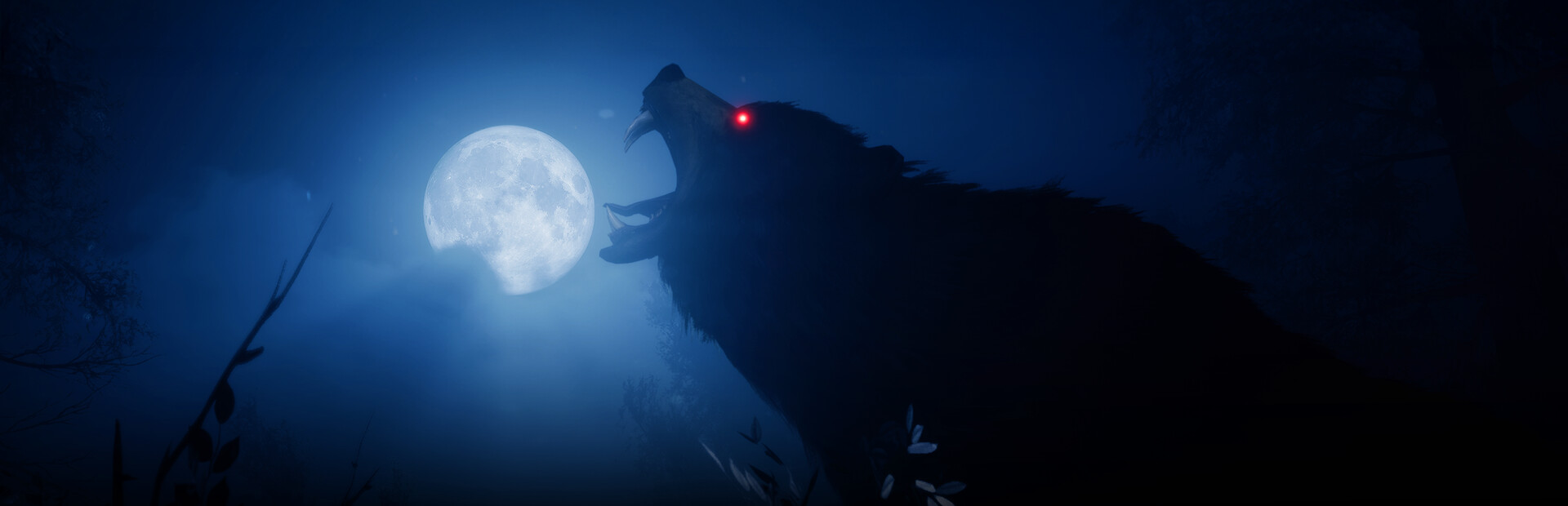 Blood Bear