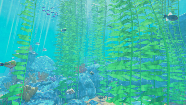 Turquoise screenshot 3