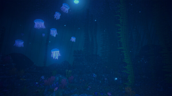 Turquoise screenshot 2