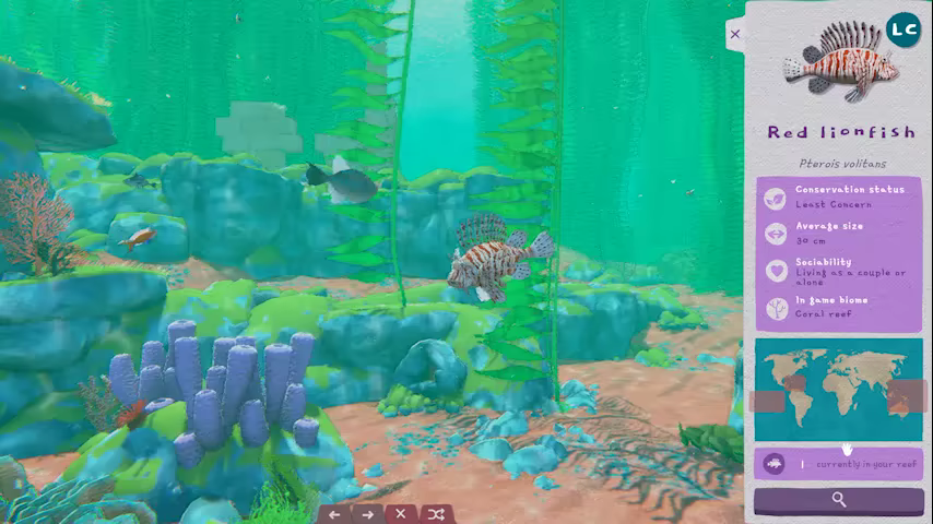 Turquoise video 1