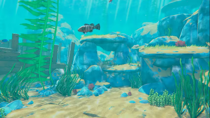 Turquoise video 3