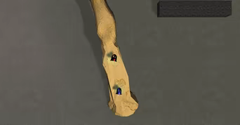 Snekteks video 2