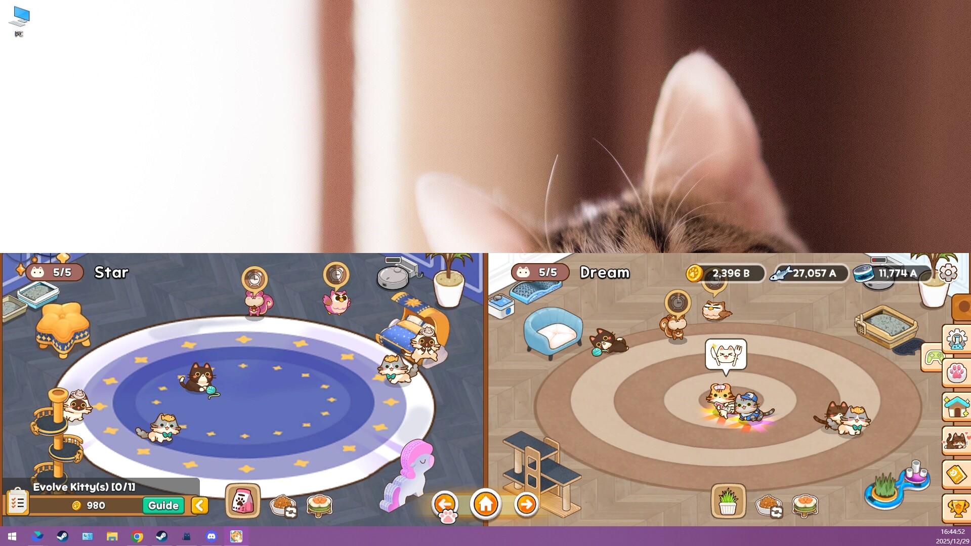 Meowniverse screenshot #2