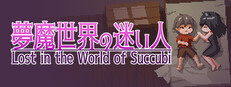 Lost in the World of Succubi