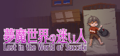 Lost in the World of Succubi cover art