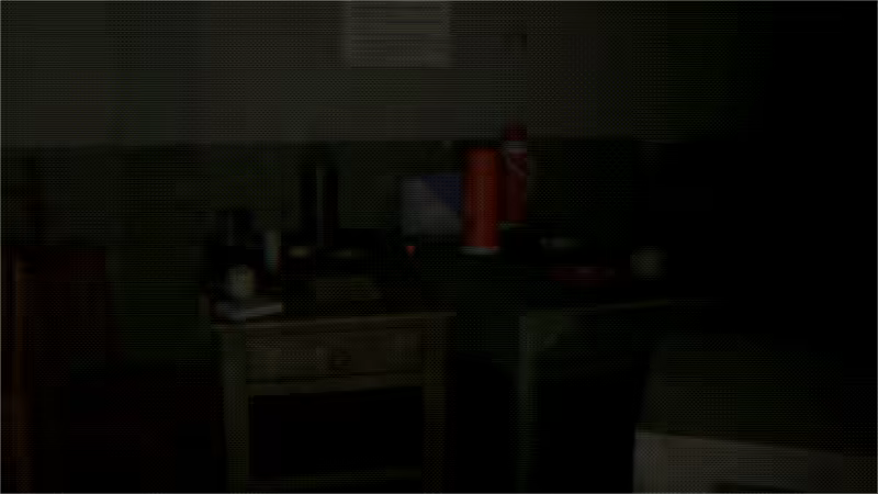 南亭湖 Dependent Origination video 7