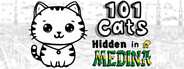 101 Cats Hidden in Medina