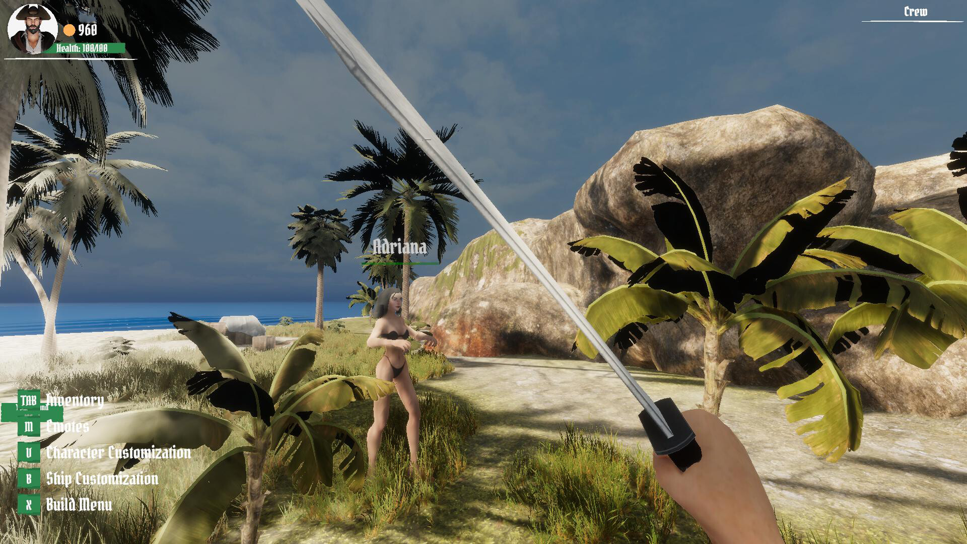 Pirate Skulls and Sails Online screenshot #8