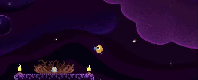 Drill Bird video 2