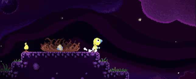 Drill Bird video 1