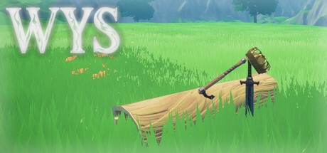 WYS Cover Image