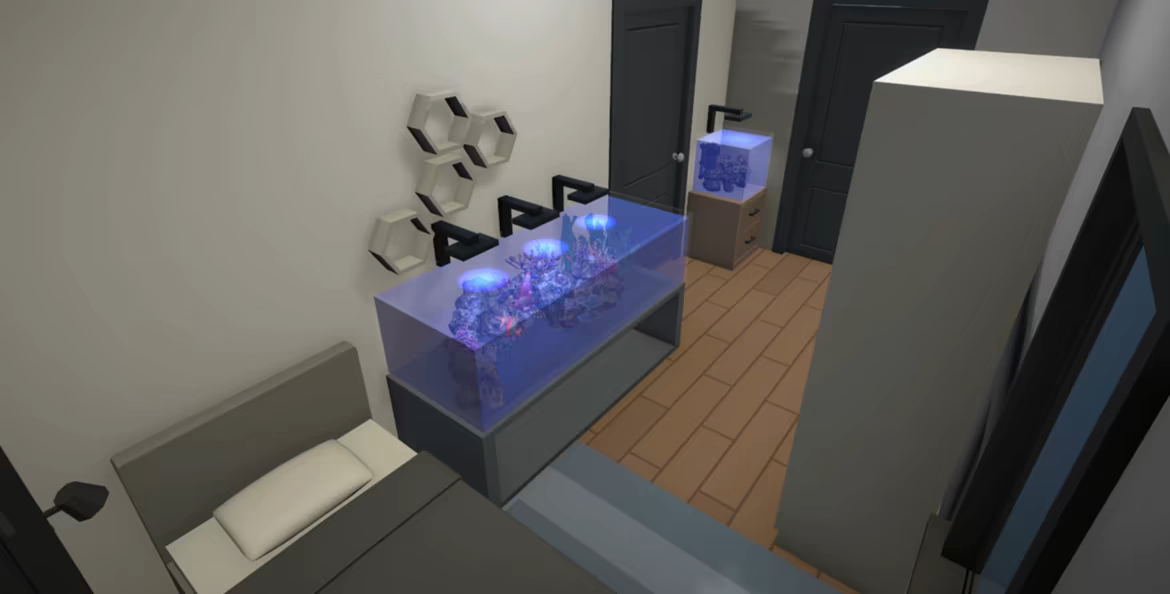 The Fish Room video 6