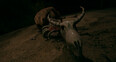 Screenshot #4