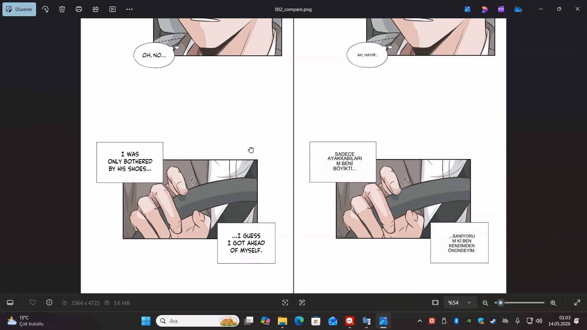 Live Translate screenshot 20