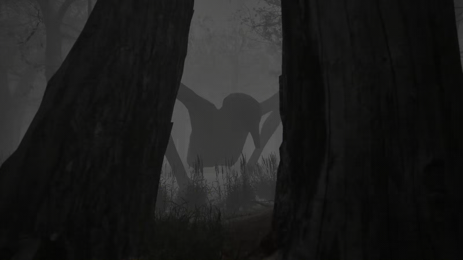Shadow Warren video 4