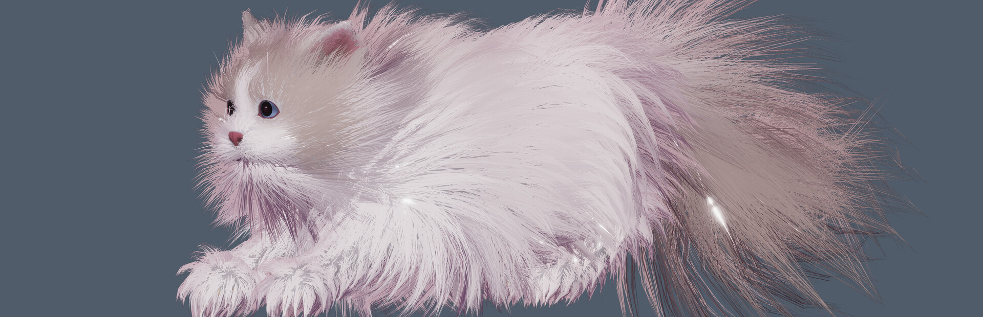 Get a cat