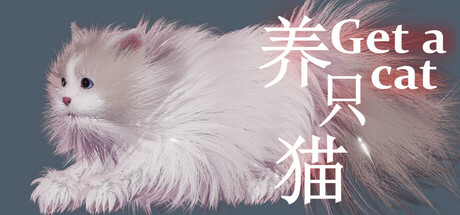 Get a cat cover art