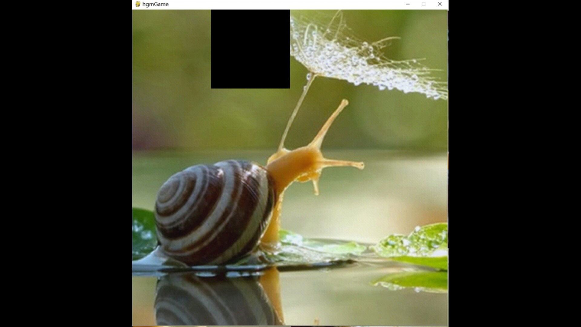 hgmGame-snail Featured Screenshot #1