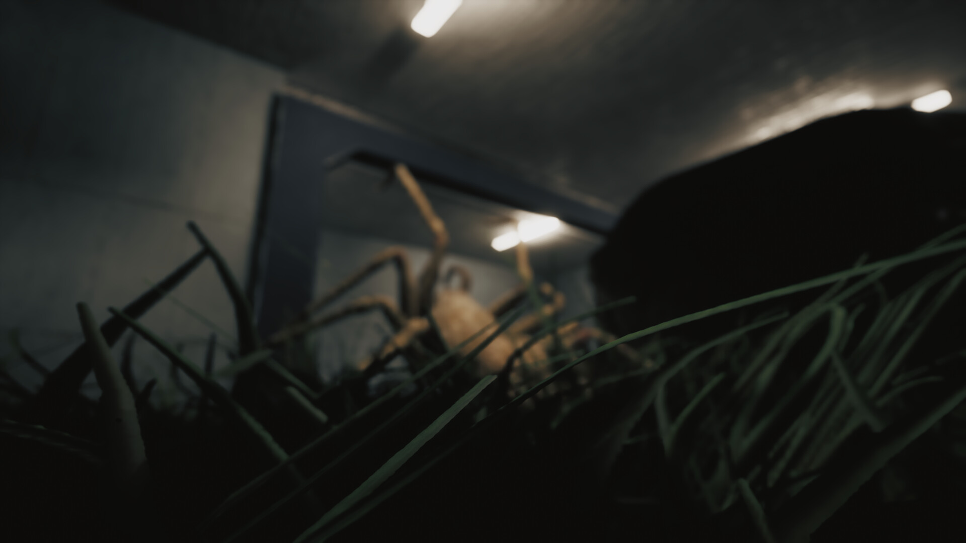 Huntsman screenshot #9