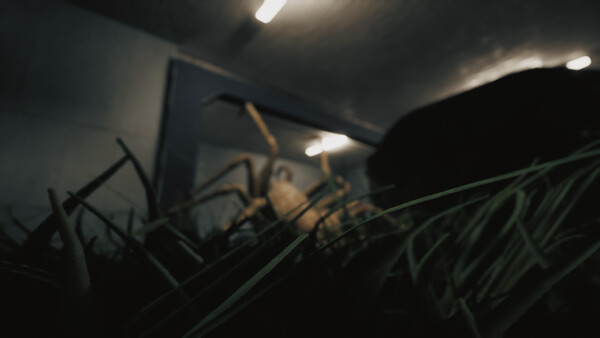Huntsman screenshot 1