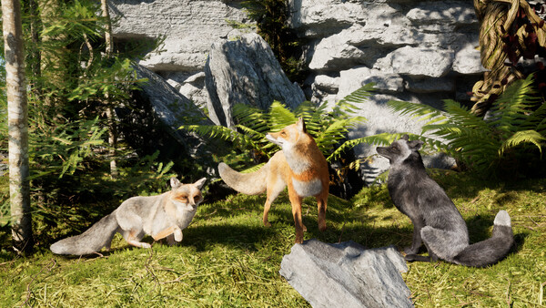 Spirit of the North 2: SaveAFox Pack