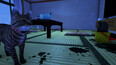 Screenshot #5