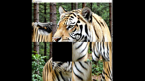 hgmGame-tiger for steam hgmGame-tiger for steam