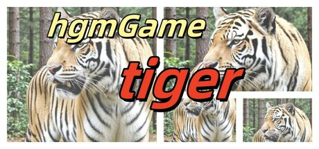 hgmGame-tiger cover art