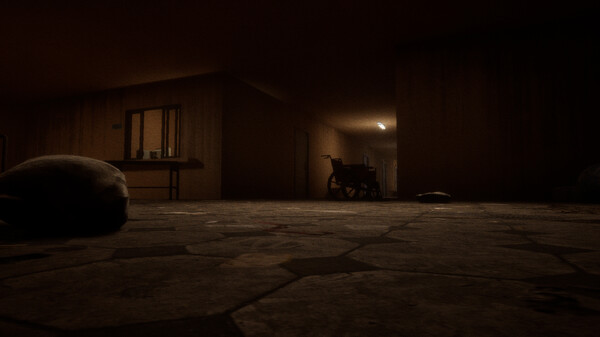 Echoveil : The Last Guest