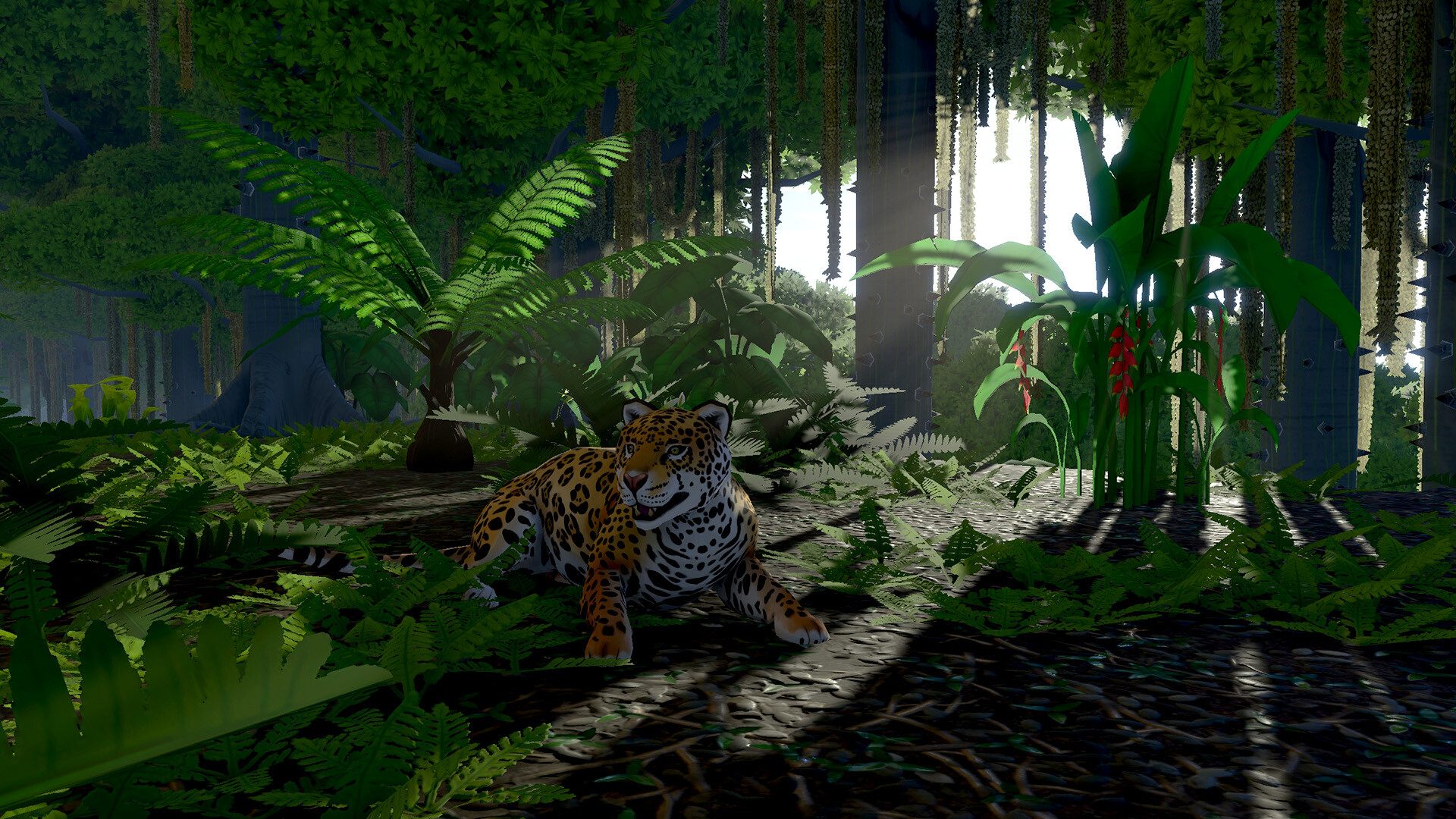 Screenshot 30