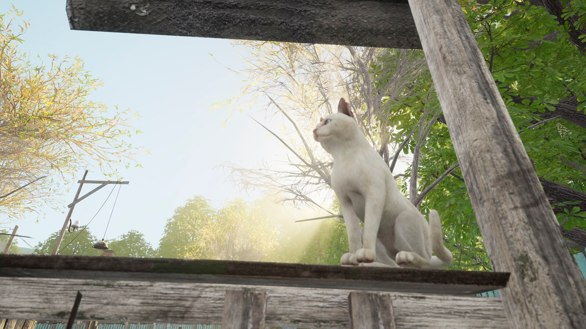 YetiParty screenshot #3