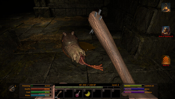 Screenshot of Ancient Shadows Awakening gameplay showing in-action mechanics