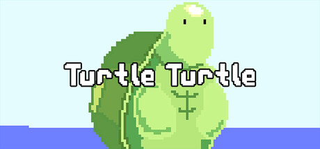 Turtle Turtle cover art