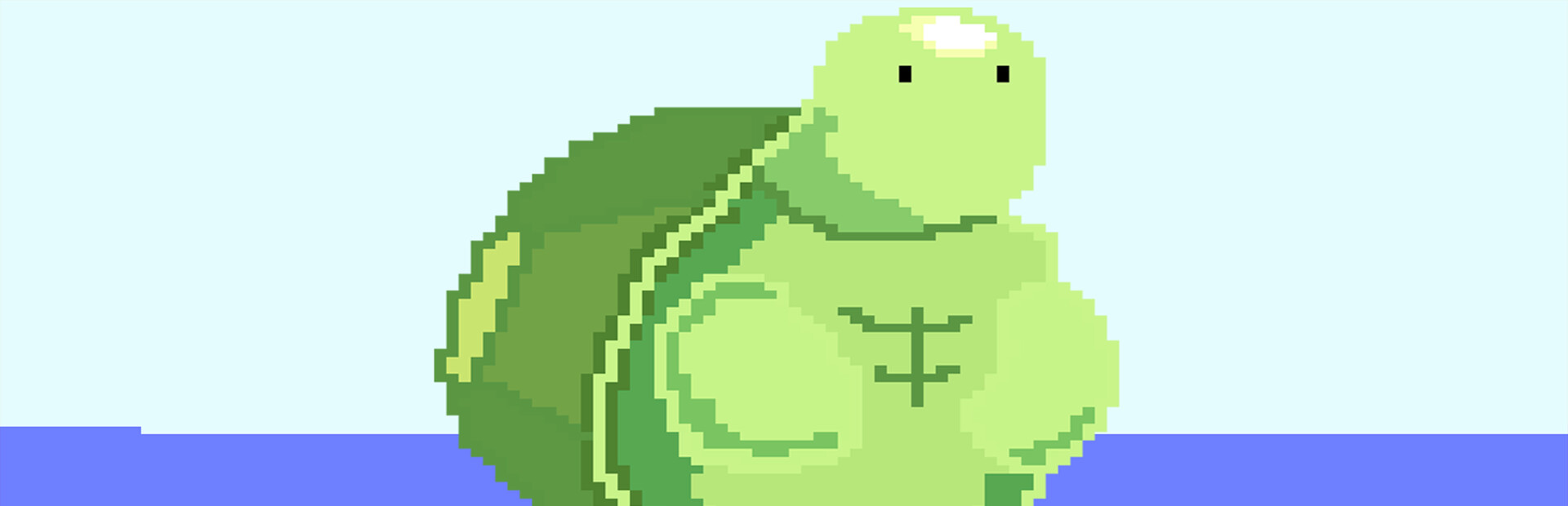 Turtle Turtle