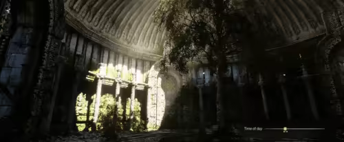 NextVisuals Benchmark Forest video 3
