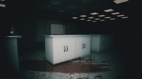 Backrooms Multi-Verses Demo