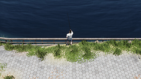 The Next Journey Of Lifefor windows and Linux 1