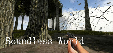 Cover of Boundless world on Steam