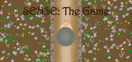 SENSE: The Game