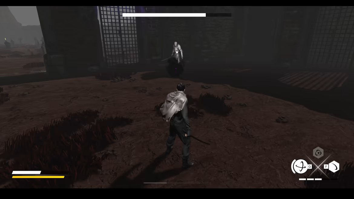 SIRO video 2