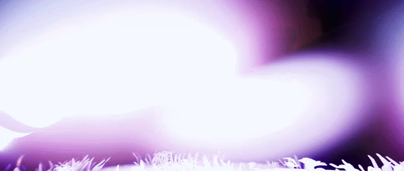 Starnded: Gardens of the Rubellite video 2