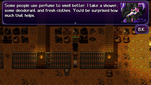 The Black Knight Chronicles - The Quest Beyond Destiny.