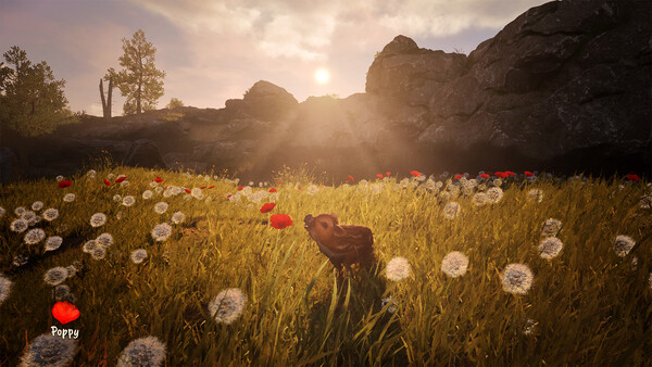 Adorable Adventures screenshot 6