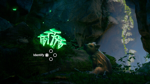 Adorable Adventures screenshot 6