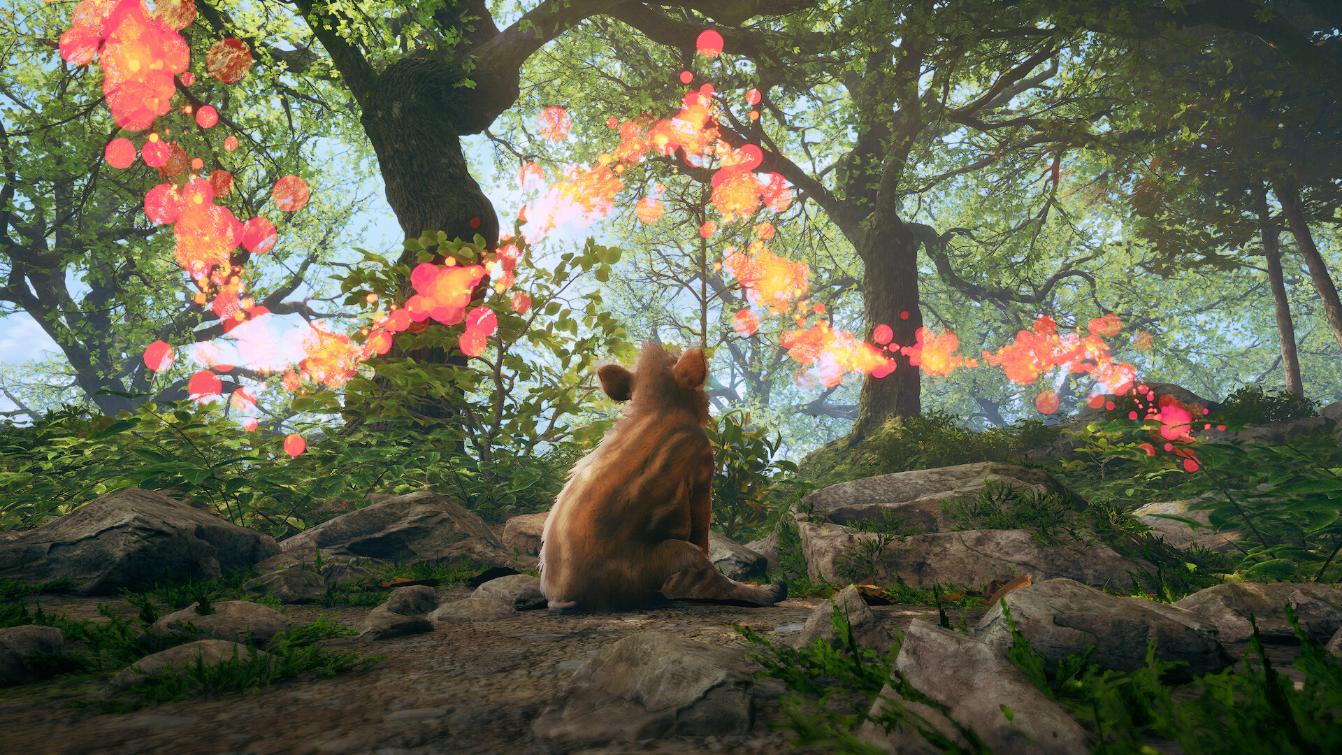 Adorable Adventures screenshot #8